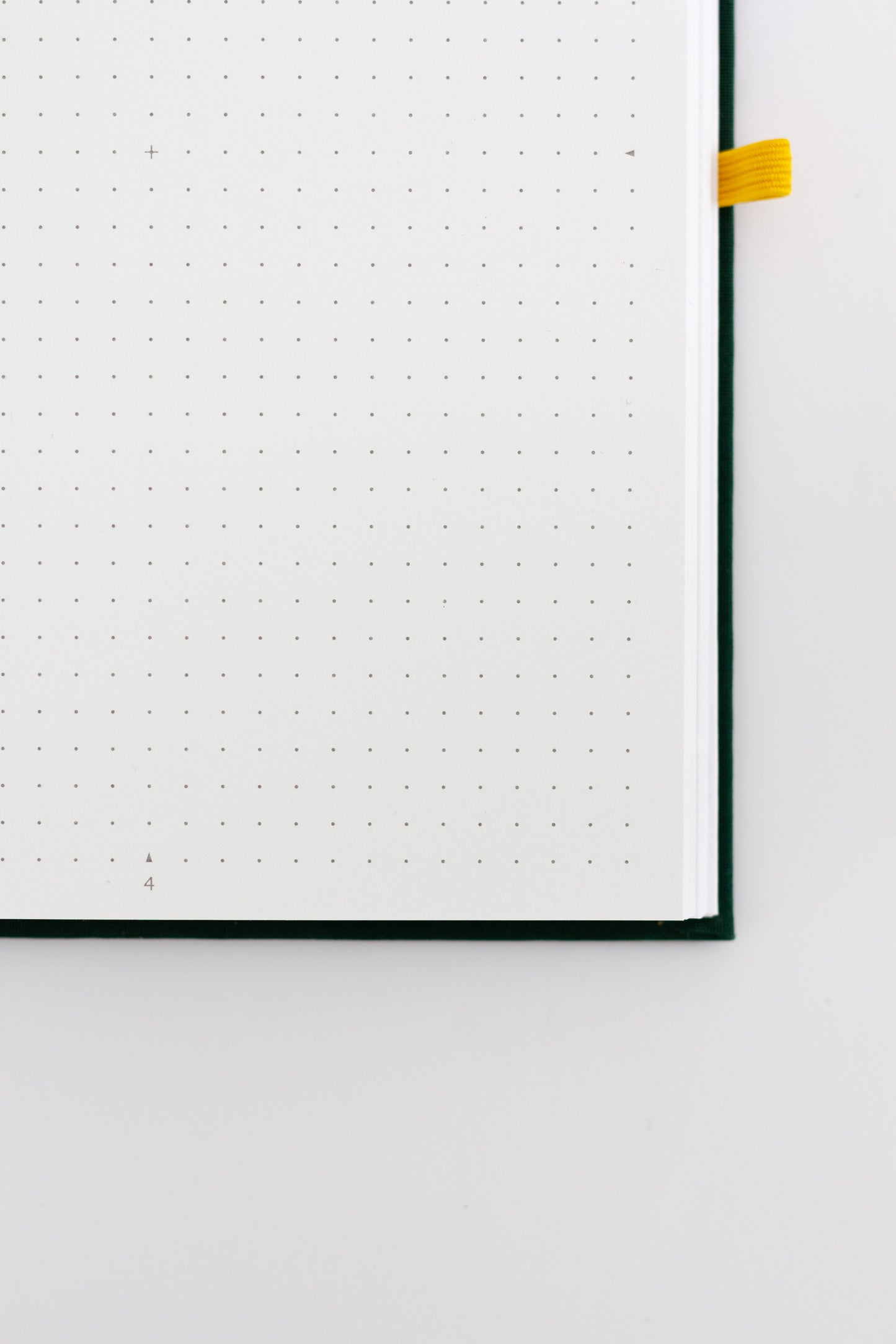 Agenda Blopo - Copacul
